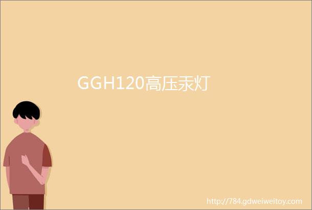 GGH120高压汞灯