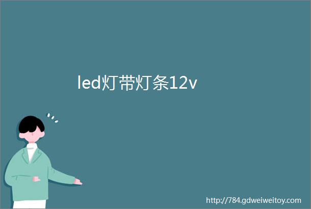 led灯带灯条12v